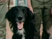 кадр из фильма Посторонним вход разрешен - 3