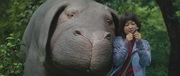 кадр из фильма Окча (Okja) - 1