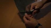 359971 thumb