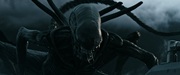 кадр из фильма Чужой: Завет (Alien: Covenant) - 39