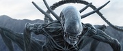 кадр из фильма Чужой: Завет (Alien: Covenant) - 18