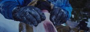 365441 thumb