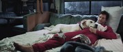 кадр из фильма Имущество с хвостом (Who Gets the Dog?) - 5