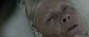 кадр из фильма Виктория и Абдул (Victoria & Abdul) - 5