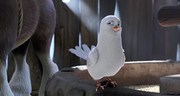 кадр из фильма Путеводная звезда (The Star) - 1