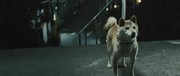 кадр из фильма Инуясики (Inuyashiki) - 1
