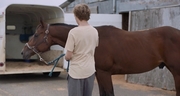 кадр из фильма Положитесь на Пита (Lean on Pete) - 2