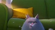 381589 thumb