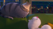 381593 thumb