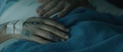 382632 thumb