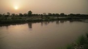 383542 thumb