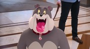 кадр из фильма Том и Джерри (Tom and Jerry) - 6