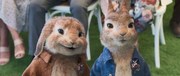 кадр из фильма Кролик Питер 2 (Peter Rabbit 2: The Runaway) - 11