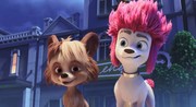 кадр из фильма 100% волк (100% Wolf) - 5