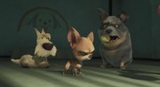 кадр из фильма 100% волк (100% Wolf) - 8
