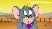 кадр из фильма Том и Джерри: Бравые ковбои! (Tom and Jerry: Cowboy Up!) - 8