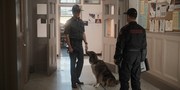 кадр из фильма Руби, собака-спасатель (Rescued by Ruby) - 9