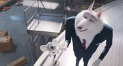кадр из фильма Зверопой 2 (Sing 2) - 16