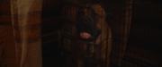 405394 thumb