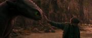 кадр из фильма Как приручить дракона (How to Train Your Dragon) - 4