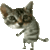 dralex74