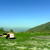 vellaro