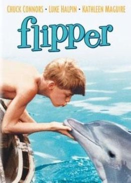 Флиппер (Flipper)