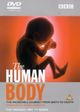 BBC: The Human Body