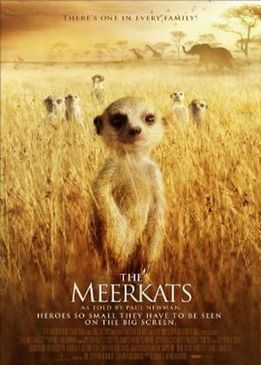 Сурикаты (The Meerkats)