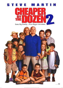 Оптом дешевле 2 (Cheaper by the Dozen 2)