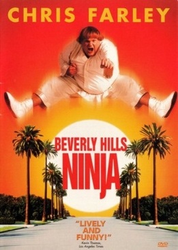 Ниндзя из Беверли Хиллз (Beverly Hills ninja)