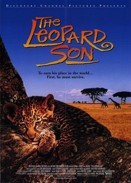 Сын леопарда (The Leopard son)