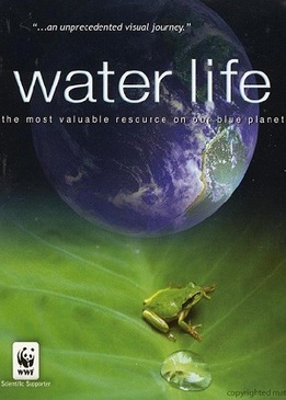 Водная жизнь (Water life)