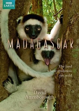 Мадагаскар: Земля, где эволюция шла своим путём (Madagascar: The land where evolution ran wild)