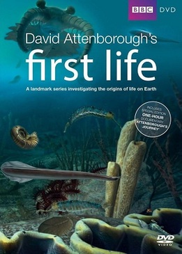 Первая жизнь/ BBC: Истоки жизни (David Attenborough's First Life)