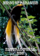 Natural World - Birds of Paradise