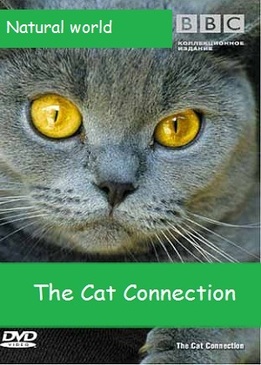 Загадочные кошки (The Cat Connection)