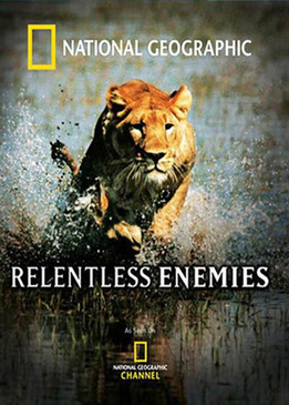 Непримиримые противники (Relentless Enemies)