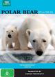 Polar Bear - Spy on the Ice