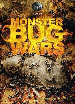 Войны жуков-гигантов (Monster Bug Wars!)