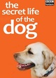 The secret life of the dog