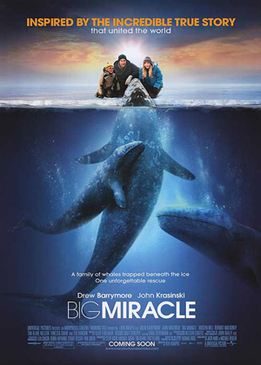 Все любят китов (Big Miracle)