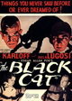 The Black Cat