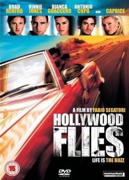 Налетчики из Голливуда (Hollywood Flies)