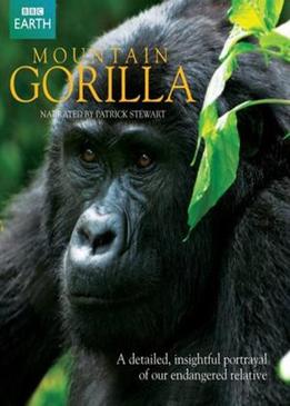 Горные гориллы (Mountain Gorilla)