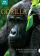 Mountain Gorilla