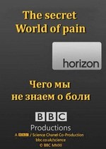 BBC: Чего мы не знаем о боли