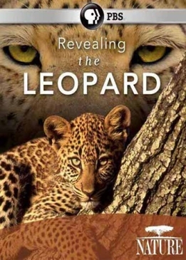 Nature: Тайная жизнь леопарда (Revealing the Leopard)