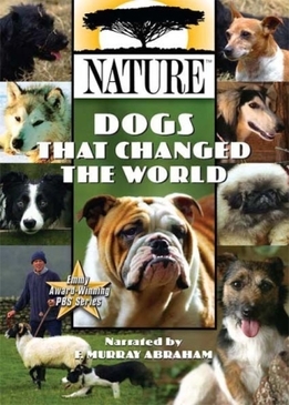 Nature: Собаки, которые изменили мир (Dogs That Changed the World)