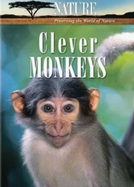 Nature: Умные обезьяны (Clever Monkeys)